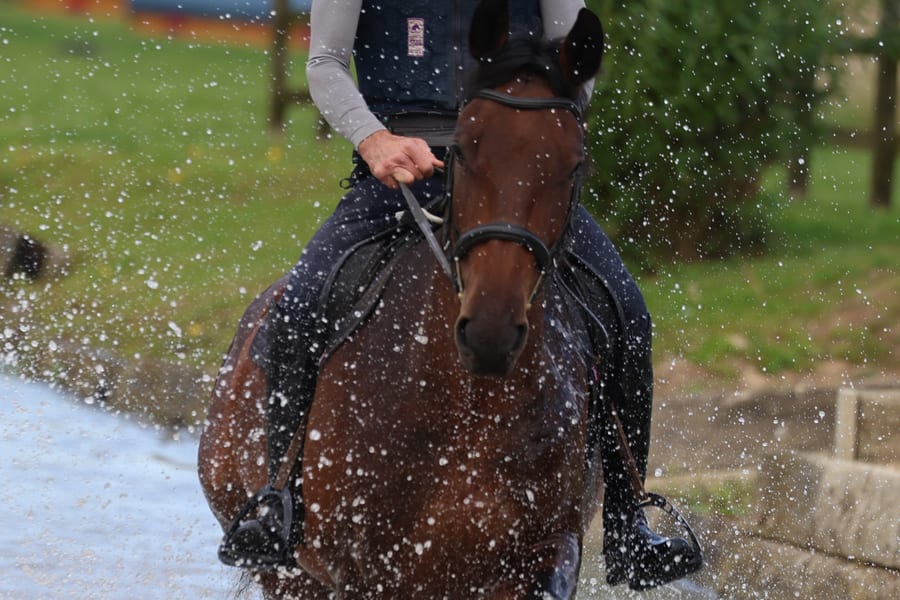 Equestrian rider galloping through water